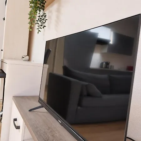 Le Nid Cosy Au Coeur De Nancy